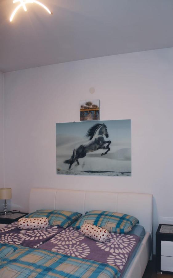 Apartments Krapec Jezdovec Εξωτερικό φωτογραφία